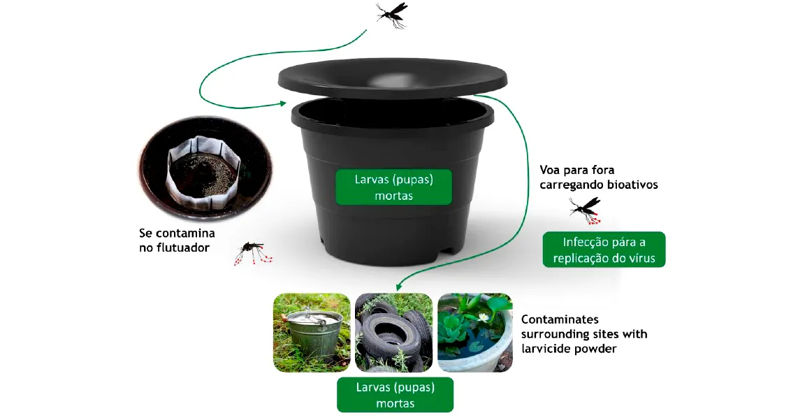 Reprodução/PML